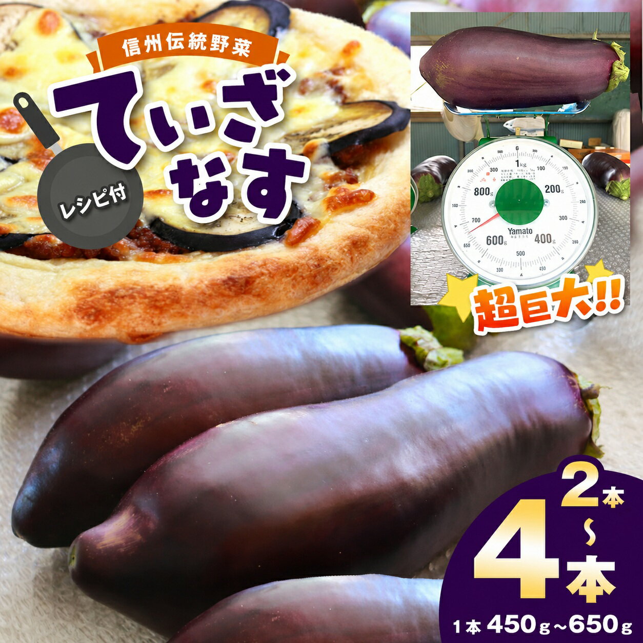 【ふるさと納税】【先行受付】信州伝統野菜 天龍村産ていざなす 2本 or 4本 セット ☆レシピ付き☆ ＜令和8年9月頃から順次発送予定＞ ｜伝統野菜 野菜 なす ナス 茄子 夏野菜 ていざなす 長野県 天龍村