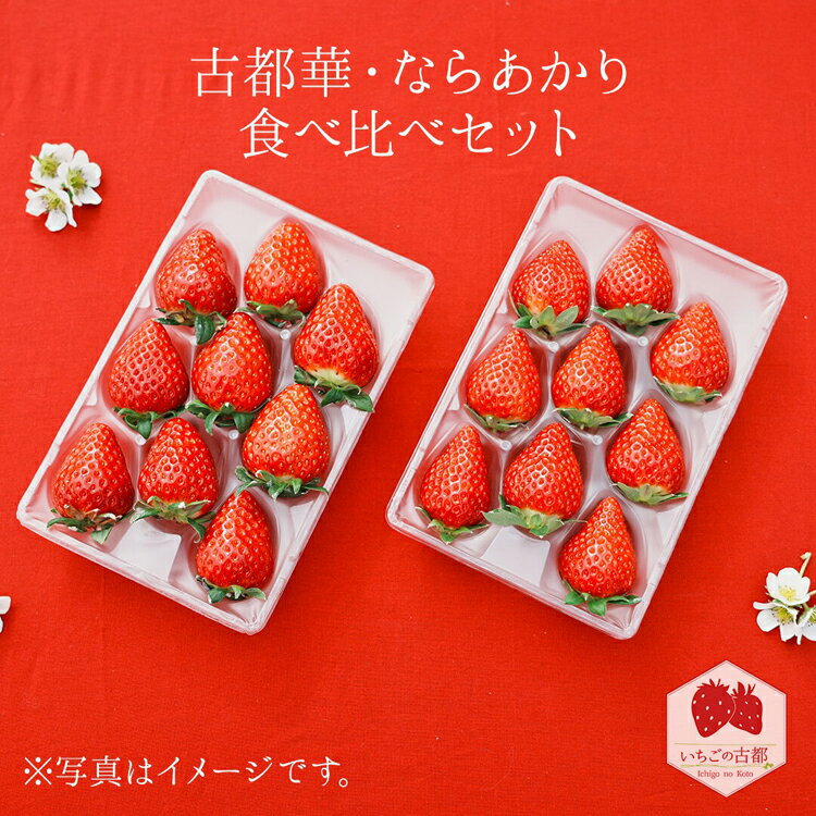 【ふるさと納税】【先行予約・数量限定】【奈良県知事賞受賞】【食べ比べセット】古都華（ことか）1パック・ならあかり1パック｜とのあさイチゴ農園 ※2026年1月中旬～5月上旬頃に順次発送予定