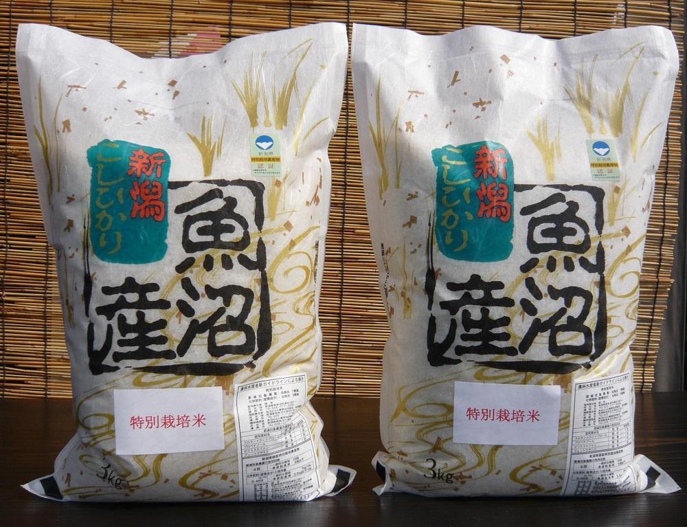 【特別栽培米】【令和6年産】　がんこおやじが作った南魚沼産コシヒカリ 白米６kg（３kg×２袋）