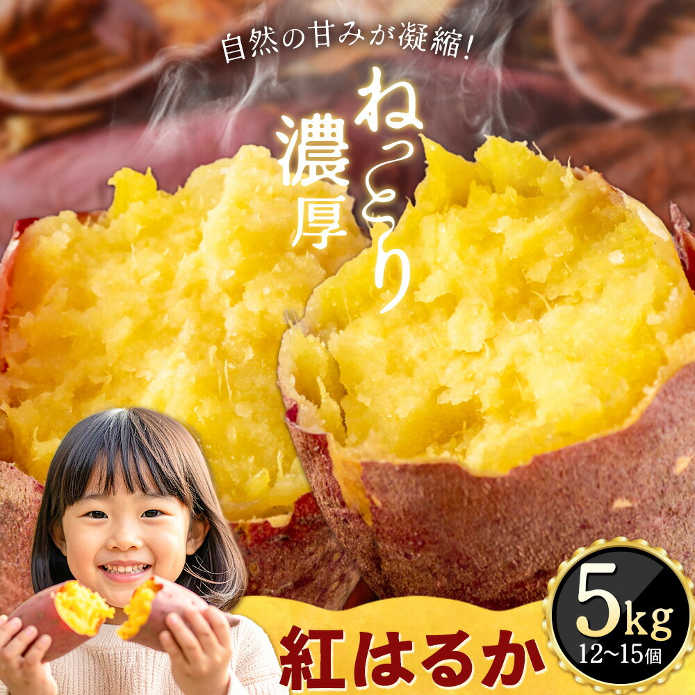 【ふるさと納税】【数量限定】さつまいも 紅はるか 芋 5kg (12-15個) 合同会社 中ちゃん農園《30日以内に出荷予定(土日祝除く) 》広島県 神石高原町 送料無料 野菜 いも サツマイモ べにはるか 無選別 芋 お取り寄せ