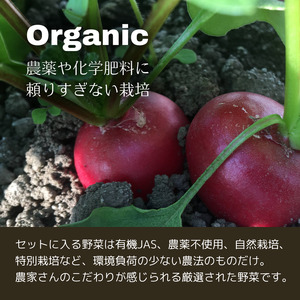 【8回定期便】丹波産の旬野菜セットDX 有機 野菜