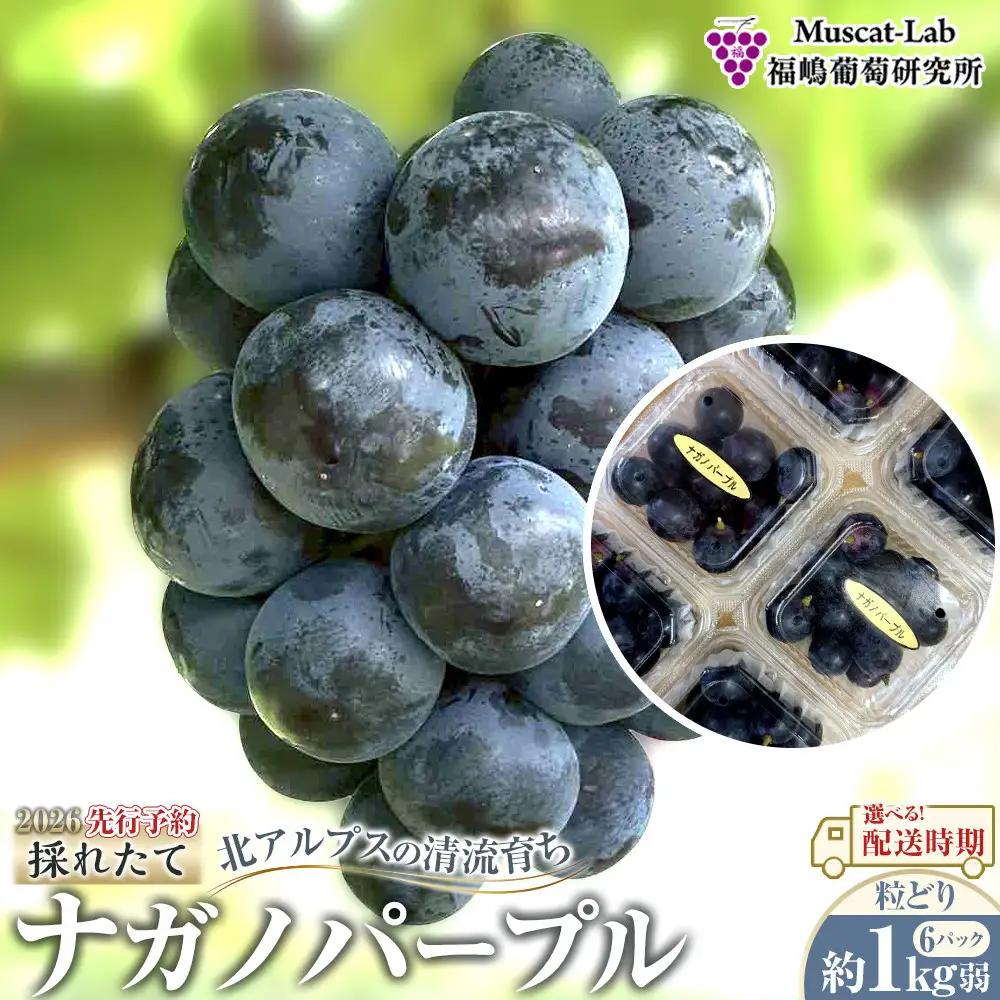 【先行予約】 C 2026  Pナガノパープル粒どり6パック 約1kg弱  (2026年10月中旬頃～順次発送予定）長野県産 　国際特許有機肥料栽培