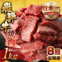 【ふるさと納税】【訳あり】定期便 飛騨牛 焼肉 切り落とし 500g × 2 計 1kg 8回お届け | 定期便 お楽しみ 牛肉 肉 切落し 和牛 国産牛 黒毛和牛 牛肉 肉 わけあり ワケアリ 不揃い 小分け 冷凍 本巣市 トキノ屋 食品 訳有 [mt444] 200000円