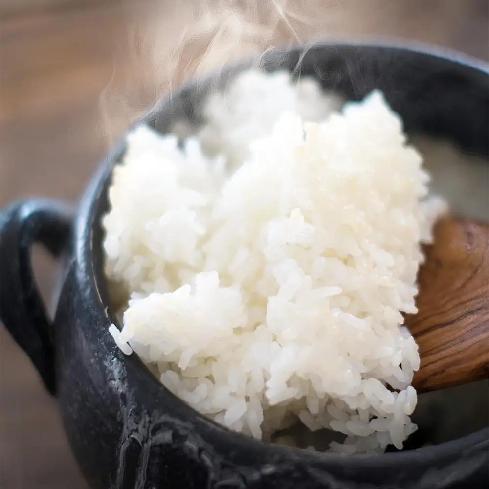 【先行予約】【3か月定期便】令和8年産　特別栽培米コシヒカリ5kg/計15kg　特別栽培米　コシヒカリ　雪蔵銀ぴか米 　会津　喜多方【07208-0949】