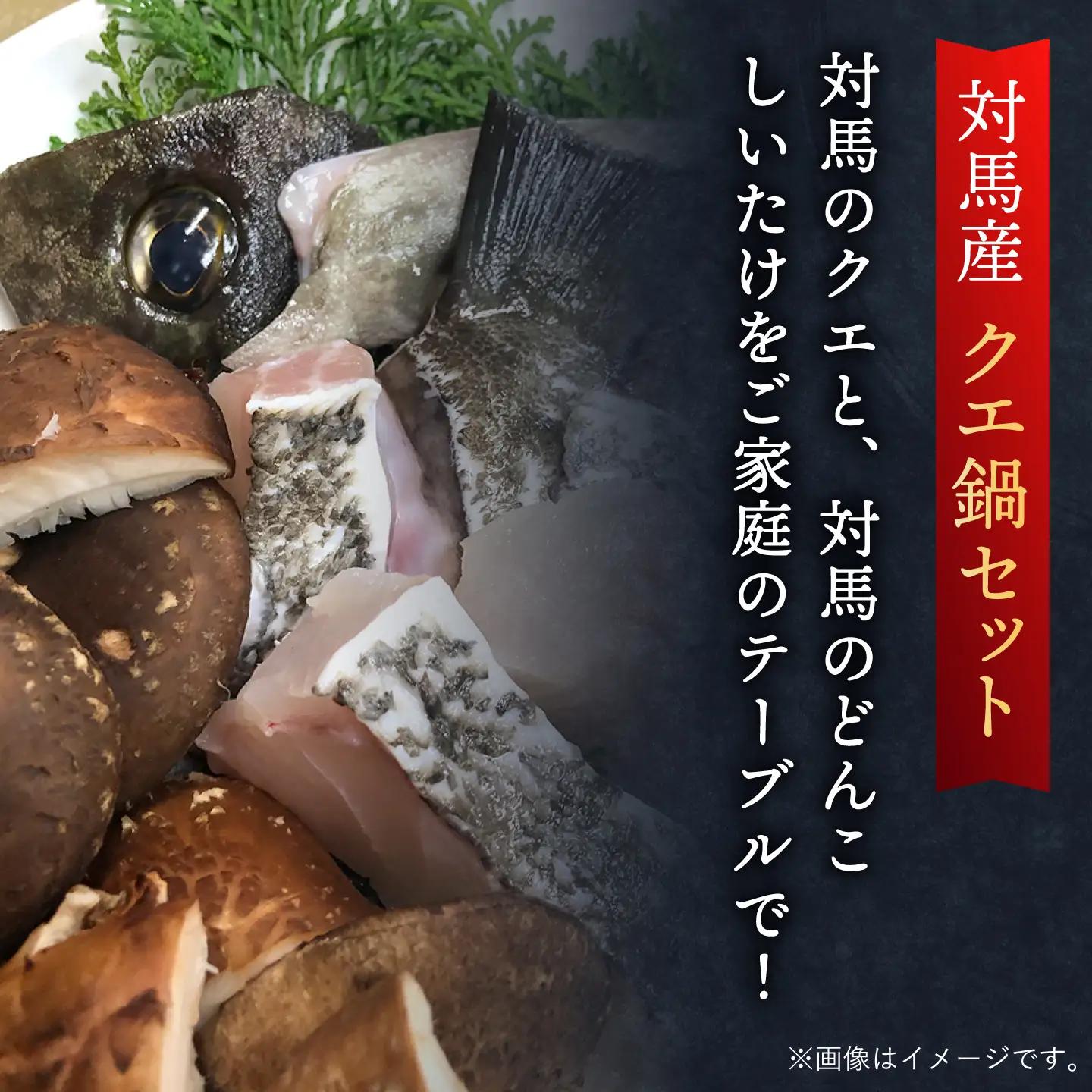 スープ が絶品！ クエ と（ アラ ）と しいたけ の 鍋セット 2  [WAF019] くえ クエ 