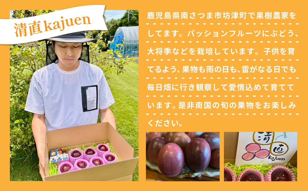【鹿児島県産】パッションフルーツ 約2kg（10～12個程度×2箱） フルーツ 果物 旬 南国 鹿児島 南さつま市 清直kajuen