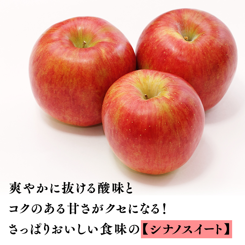 【10～11月発送】贈答用 農家直送 樹上熟成りんご シナノスイート・ぐんま名月 約5kg【平川市産・青森りんご】