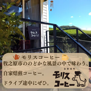モリス自家焙煎スペシャルティーオリジナルブレンドコーヒー豆  100g × 5袋 計500g  【ブレンド コーヒー アウトドア 】