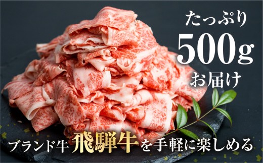 飛騨牛 一頭買いの切り落とし肉500g ｜すき焼き しゃぶしゃぶ 炒め物 
