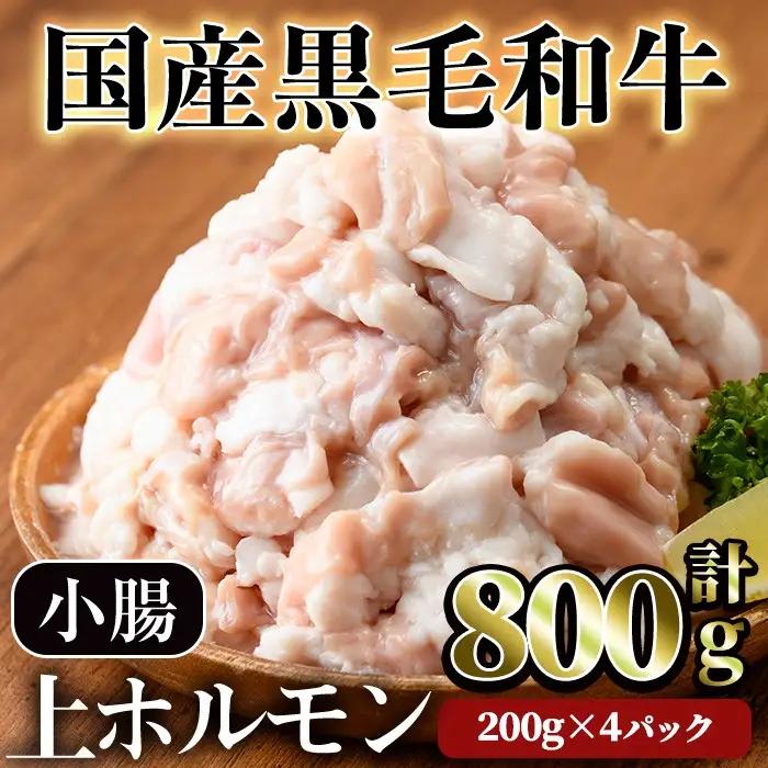 【鮮度抜群！】国産 黒毛和牛 小腸 上ホルモン 焼肉 和牛（計800g） 【LRプラスK】A827