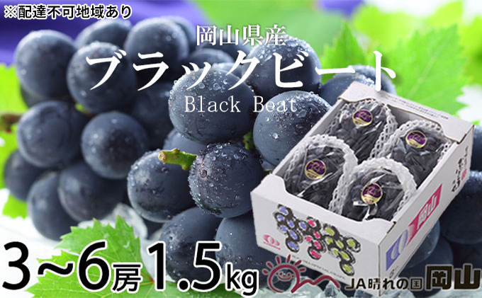ぶどう 2025年 先行予約 ブラックビート 約1.5kg 3～6房 ブドウ 葡萄  岡山県産 国産 フルーツ 果物 ギフト