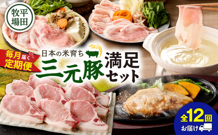 【 全12回 毎月 定期便 】 日本 の 米育ち 平田牧場 の 満足セット ！ T036-T05-03 定期 肉 お肉 にく 豚 豚肉 ブタ ぶた 三元豚 しゃぶしゃぶ 鍋 お鍋 ステーキ とんかつ 黒豚 冷凍 バークシャー種 特別品種 便利 パック おかず 夕食 美味しい おいしい ジューシー ふるさと納税 北海道 苫小牧市 おすすめ ランキング プレゼント ギフト