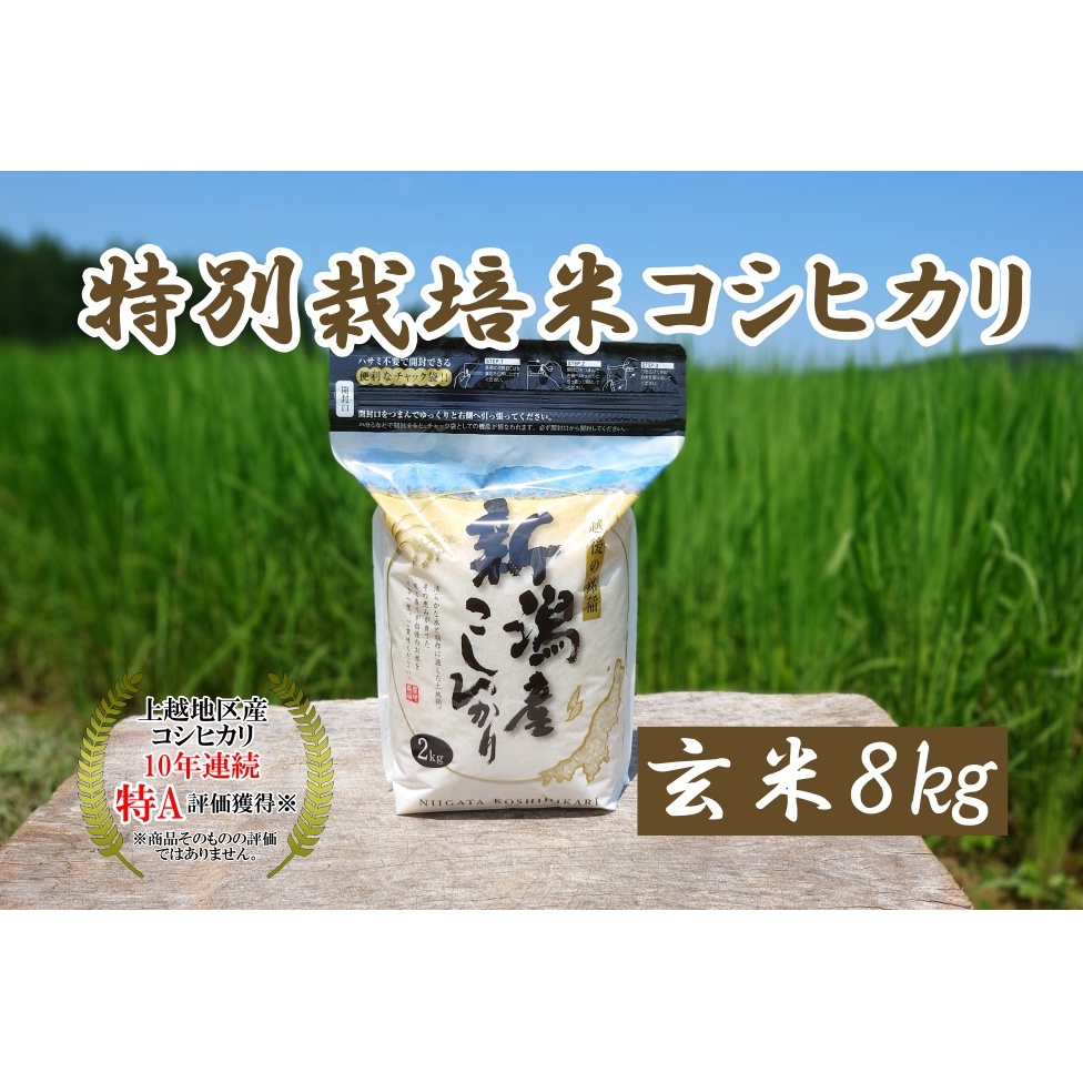 米 令和5年産 新潟上越三和産 特別栽培米コシヒカリ8kg 玄米 こしひかり コシヒカリ お米 こめ 新潟 新潟産