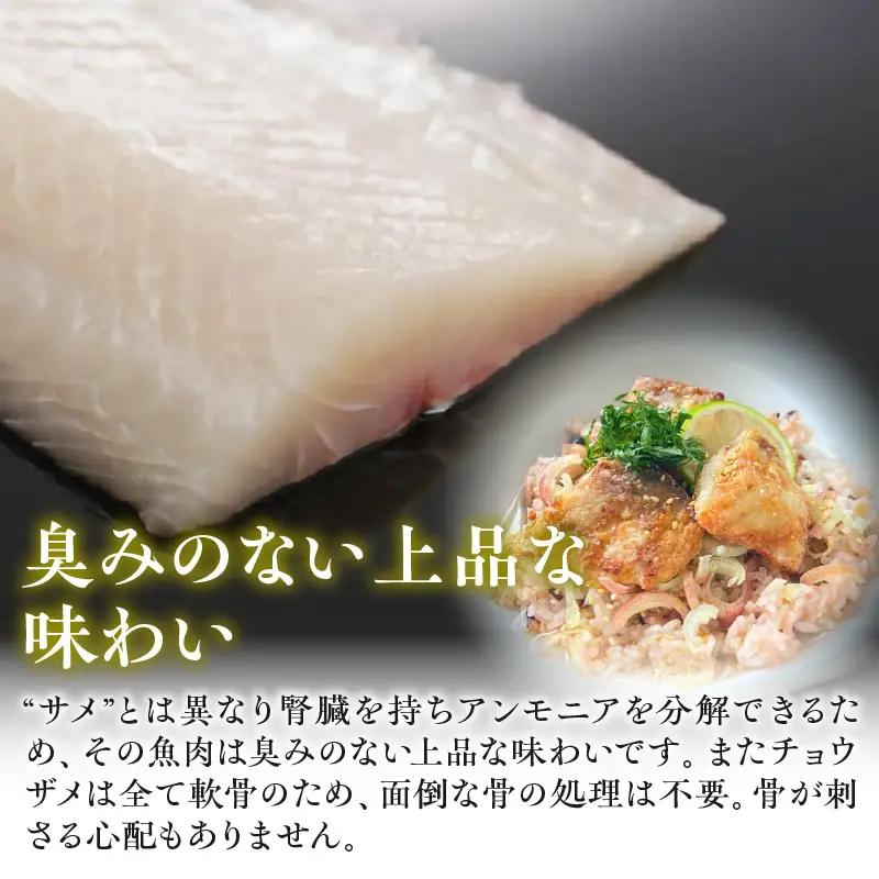 宮崎県産チョウザメの切り身70g×8パックセット 国産 宮崎県産 チョウザメ 切り身 切身 70g 8パック 高タンパク質 タンパク質 魚 冷凍 小分け パック 真空パック 唐揚げ ガーリックソテー