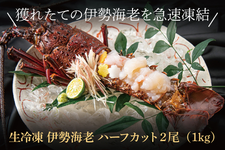 生冷凍 伊勢海老 2尾 1kg 冷凍 国産 伊勢エビ イセエビ いせえび 海老 エビ えび おせち 刺身 焼き物 味噌汁_AP031