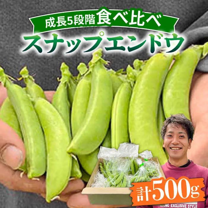 【2027年1月-発送】スナップエンドウ　サイズ違い　食べ比べセット　100g × 5袋 / 小分け / 南島原市 [SFL001]