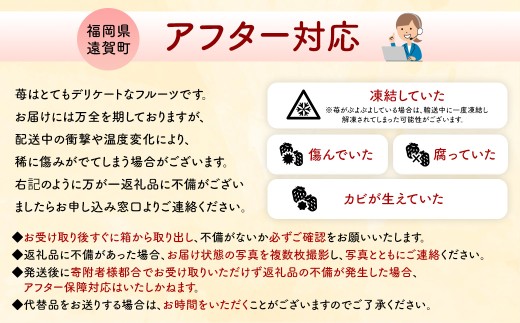 【数量限定】 福岡県産 あまおう 計500g 250g×2パック 【2027年2月上旬～4月上旬発送予定】 苺 イチゴ いちご 果物 フルーツ 果実 国産 アフター保証 アフター対応 福岡県 遠賀町 冷蔵