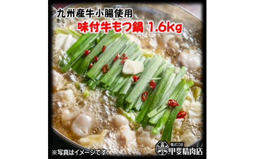 
もつ鍋 九州産 牛もつ鍋 1.6kg (400g×4袋) [甲斐精肉店 宮崎県 日向市 452060121] モツ鍋 味付け 醤油 肉 牛ホル ホルモン 牛ほる 牛肉 肉 鍋用 冷凍
