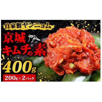 ふるさと納税 志摩市 自家製ヤンニョム　京城キムチの素400g(200g×2パック セット)