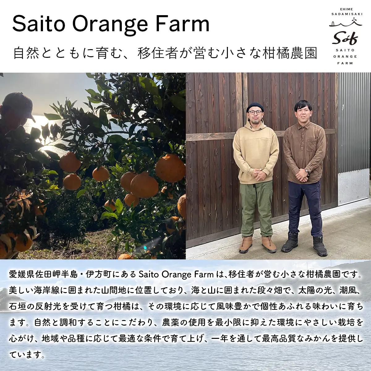 Saito Orange Farm 温州みかん720ml×1本＋清見720ml×1本 計2本セット IKTAQ023