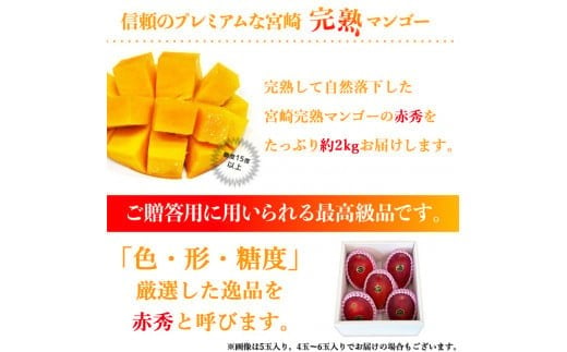 宮崎県産完熟マンゴー[赤秀] 合計約2kg（4～6玉）