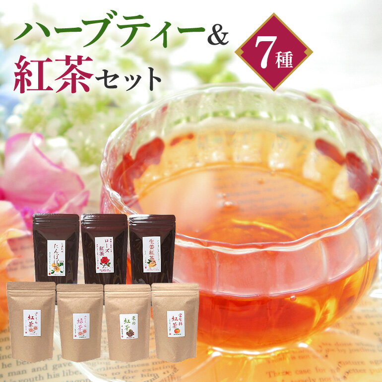 【ふるさと納税】 紅茶 & ハーブティー セット 生姜紅茶 ローズ紅茶 たんぽぽ茶 栗 紅茶 柿 紅茶 さくら 紅茶 さくら 緑茶 リラックス 健康茶 癒し ホットティー お茶 ハーブ フルーツティー 茨城県 石岡市 (E15-009)