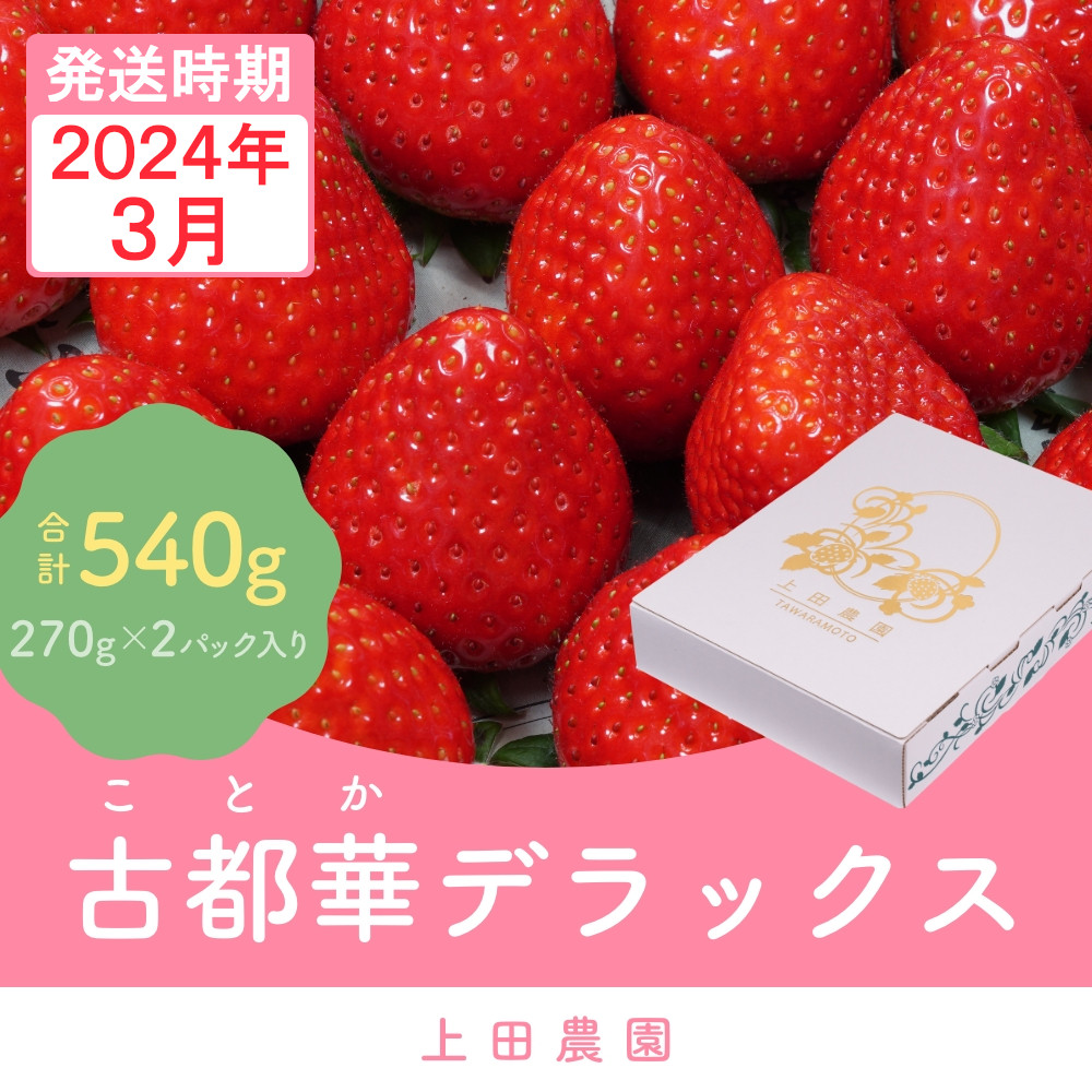 
（冷蔵）【３月発送分】イチゴ 奈良県産高級ブランド品種「古都華」デラックス（270g×２パック） ／ 上田農園 苺 いちご フルーツ 奈良県 田原本町
