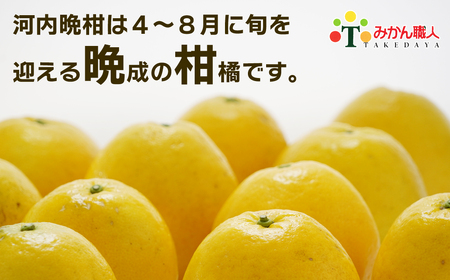 【訳あり】 みかん職人の河内晩柑  10kg (なくなり次第終了) 先行予約 河内晩柑 みかん職人武田屋