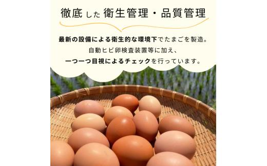 九十九里ファームこだわりたまご贈答用30個～あおい海・みどりの里～