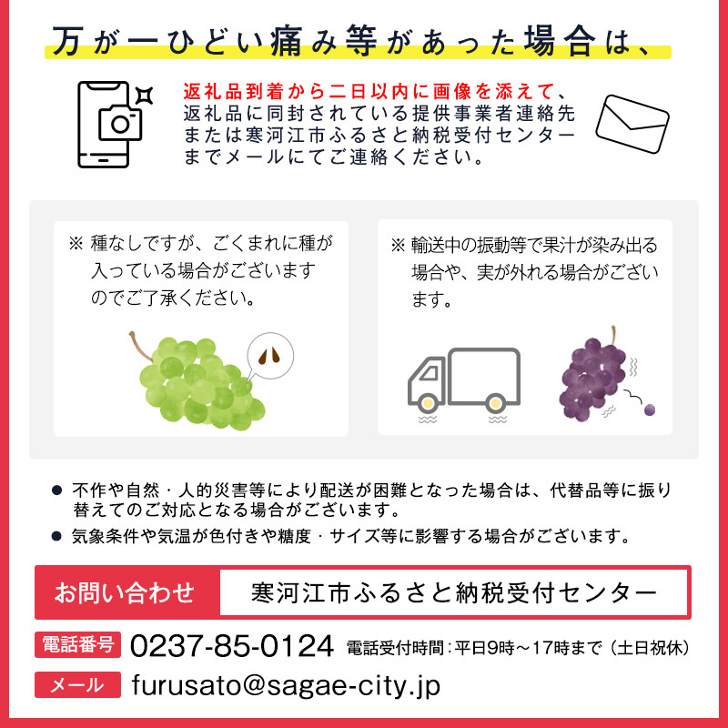 【満足の2～3房】こだわりのぶどう『シャインマスカット 1.2kg以上（2～3房）』 山形県産 【化学肥料 除草剤不使用】＜安全安心の栽培＞【2025年9月上旬頃～10月上旬頃発送予定】　016-B-