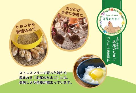 国産飼料の平飼い有精卵「名尾のたまご」20個入：B100-045