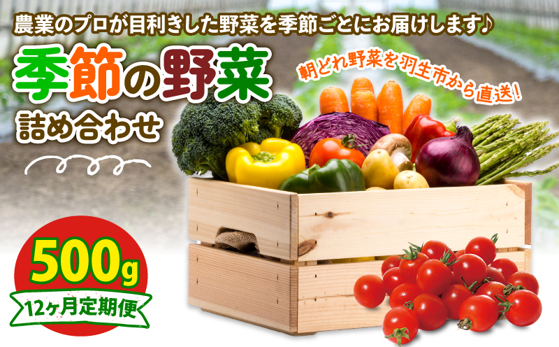 季節の野菜 定期便 500g 12ヶ月