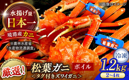 松葉ガニ ボイル 1.2kg以上 松葉ガニ カニ [ALBO003]