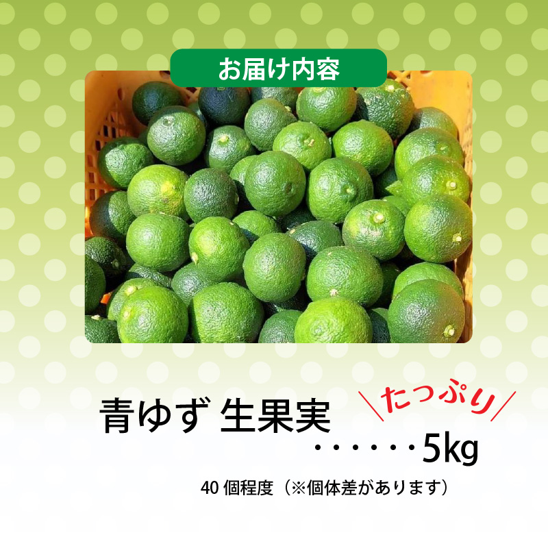 訳あり 青ゆず 生果実 たっぷり5㎏ 5kg 40個程度 特産品 ゆず 果汁 さわやか 風味 小ぶり 皮 柚子ごしょう 加工品づくり 青ゆずスカッシュ 輪切り 風味付け 柑橘 果実 フルーツ 豊か 自然 恵み 澄んだ空気 おいしい水 お取り寄せ 福岡県 上毛町 送料無料 MM0206
