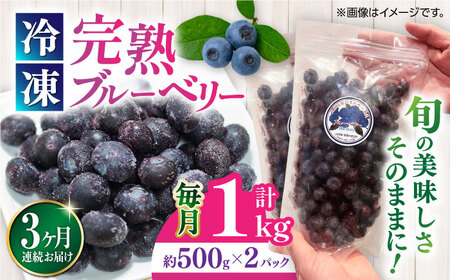 【全3回定期便】完熟 冷凍ブルーベリー 計1kg ブルーベリー ブルーベリー ブルーベリー ブルーベリー ブルーベリー [YDI002]