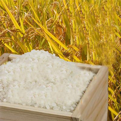 ふるさと納税 小野市 兵庫県小野市産100% ひのひかり お米 30kg 白米 2025年秋収穫