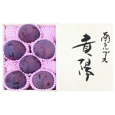 ふるさと納税 南アルプス市 特選すもも 【 貴陽 】　約1.6kg　(2027年発送分)