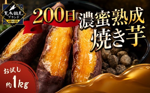 
                  【先行予約2027年2月以降発送】200日極限ギリギリまで熟成させた『濃密熟成焼き芋』お試し1キロ 野菜 やさい 食品 焼き芋 横浜市 芋 甘い 美味しい 熟成 さつまいも 新食感 食 イモ 【テレビ出演で話題沸騰】
                