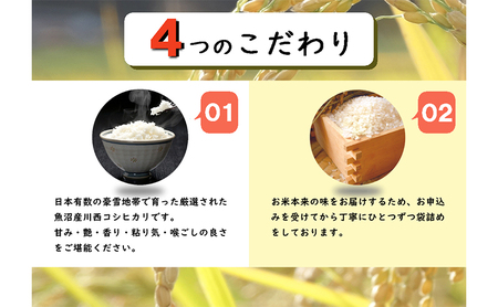 【定期便／全12回】無洗米 魚沼産こしひかり2合×30袋