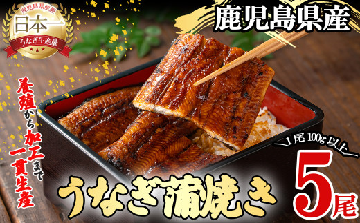 桜林養鰻のうなぎ蒲焼 計500g以上(100g以上×5尾) b7-016