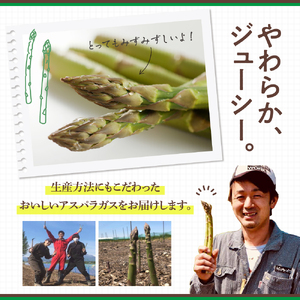 【先行受付】【2025年出荷分】北海道十勝芽室町 なまら十勝野のアスパラ1kg アスパラ アスパラガス 野菜 やさい me001-007c-25