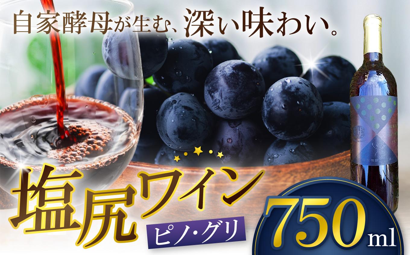 霧訪山シードル 塩尻市産 ピノ・グリ | 塩尻ワイン ワイン 赤 ピノ・グリ 霧訪山シードル 無添加 無濾過 酒 長野県 塩尻市