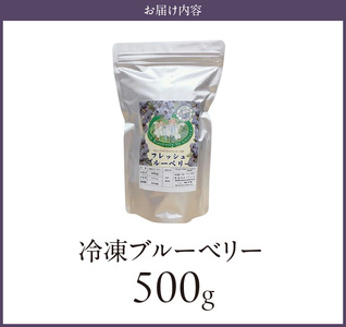 福岡県産 冷凍ブルーベリー 500g_ブルーベリー 冷凍 500g 1パック 福岡県産 果物 フルーツ 冷凍フルーツ デザート おやつ 冷凍食品 食品  お取り寄せ お取り寄せフルーツ 美味しい 九州