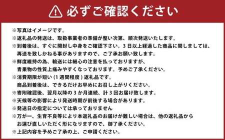 【 3か月 連続 定期便 】 熊本県 フルーツ 3ヶ月 定期便 果物 くだもの 旬 いちご 柑橘 スイカ メロン 柿 梨