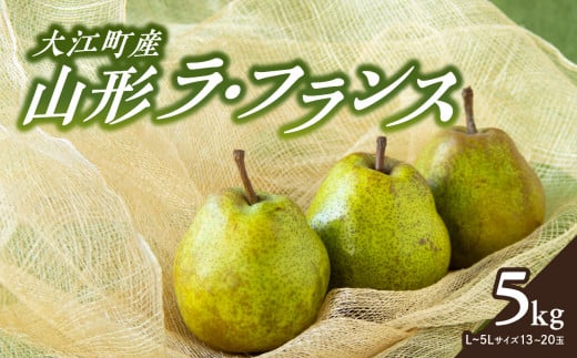 《先行予約》大江町産 山形ラ・フランス 5kg 13～20玉 L～5L【2024年11月中旬頃～発送予定】【配送不可：沖縄県・離島】 ラフランス 山形県 大江町 フルーツ 果物 西洋梨 デザート 洋梨 梨 ナシ 大玉 大きい 【048-005】
