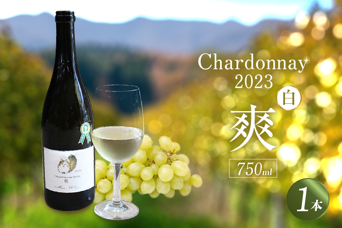 
            Chardonnay2023 爽 750ml 白ワイン｜シャルドネ 無添加 無濾過 国産 日本ワイン 愛知県 東浦町 [0738]
          
