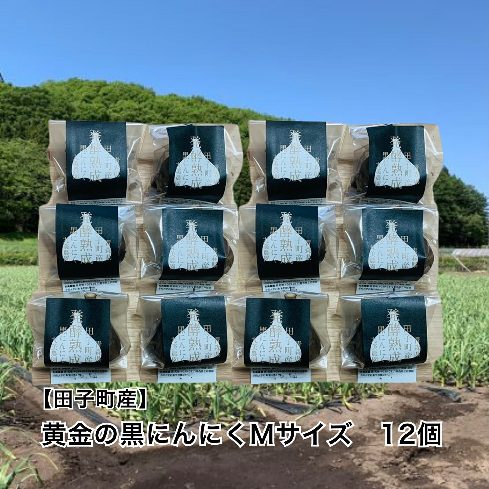 【ふるさと納税】丸美農園 田子町産【遠赤外線熟成】黄金の黒にんにく(Mサイズ)　12個　野菜・根菜・薬味・加工食品・燻製　出荷開始：8月1日〜3月31日