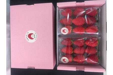 《2026年産先行予約》「西脇市産 佐藤果実工房 あまクイーン」（約270g×２パック 約540g）【佐藤果実工房 全国いちご選手権3年連続上位入賞農園 TVで紹介!】令和８年３月上旬配送分　07-5