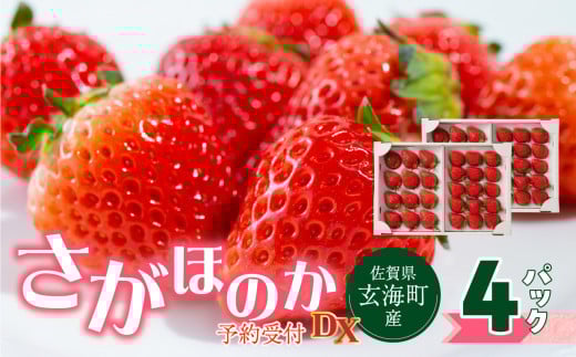 ★予約受付★【配送時期が選べる】佐賀県玄海町産「さがほのかDX」2026年1月～5月までに順次配送