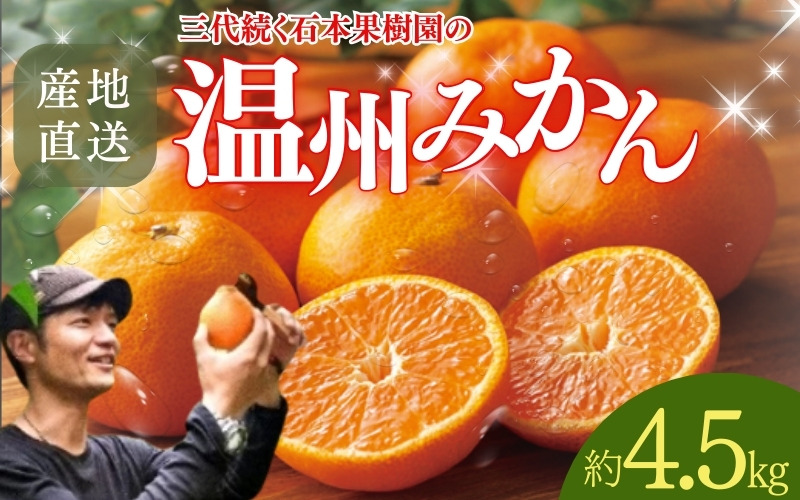 【先行予約】石本果樹園の美味しい 温州みかん 約4.5kg 約35～40玉前後【2026年11月初旬から2027年1月下旬までに順次発送予定】 / みかん フルーツ くだもの 果物 温州みかん【min005B】